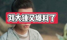 刘大锤爆料年轻小爱豆视频,颜值与实力并存